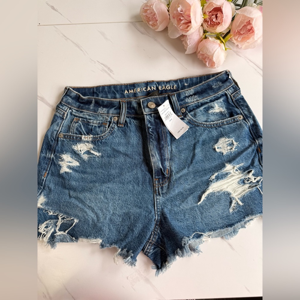 American Eagle Outfitters Distressed Blue Denim Cutoff Shorts